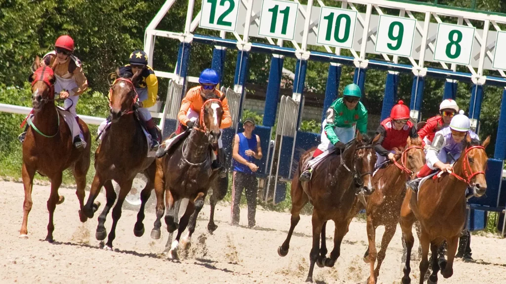 Horse racing how to bet?11 Horse Racing Bet Types