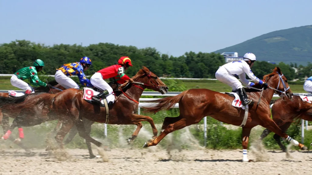 5 horse racing betting sites you must know