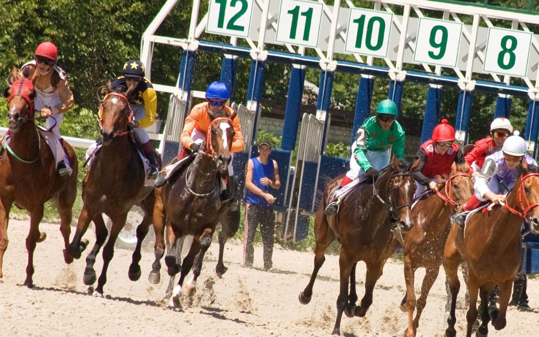 Horse racing how to bet？11 Horse Racing Bet Types